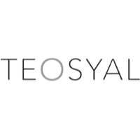 teosyal at VW Aesthetics